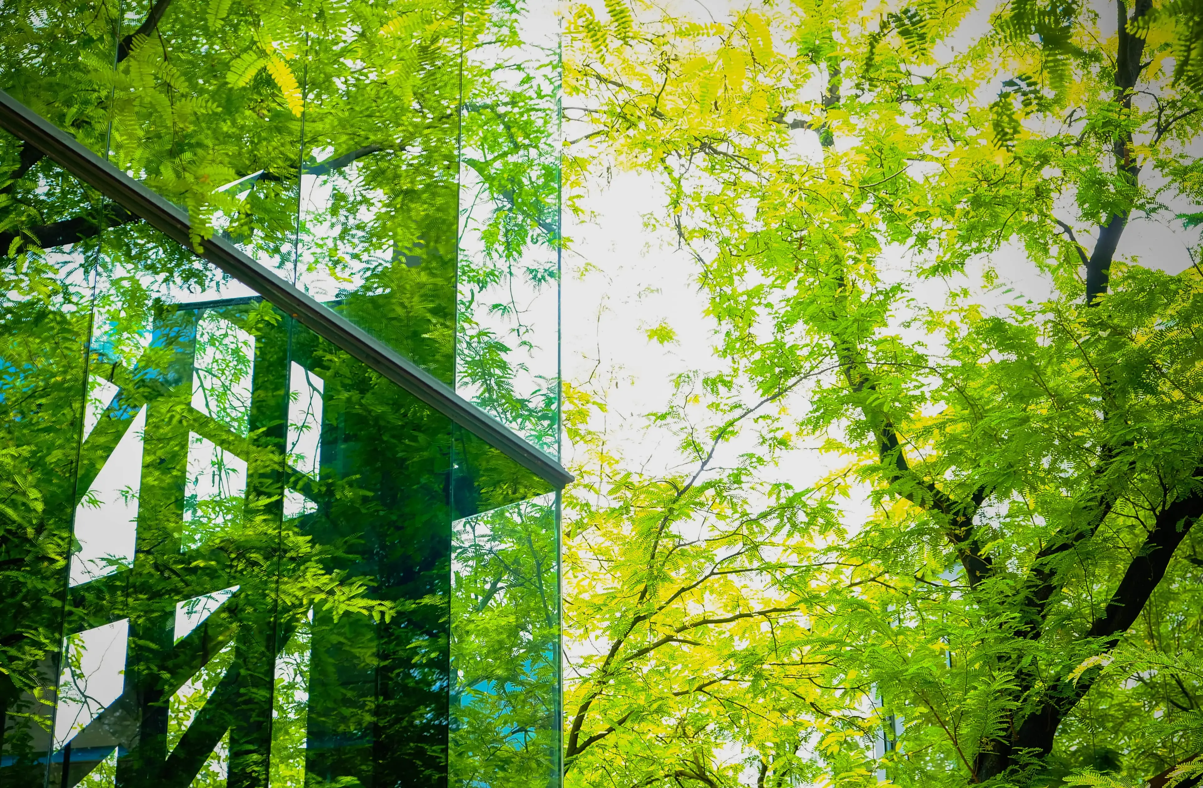 Accompagnement appel d'offres